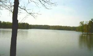 Harrison Lake